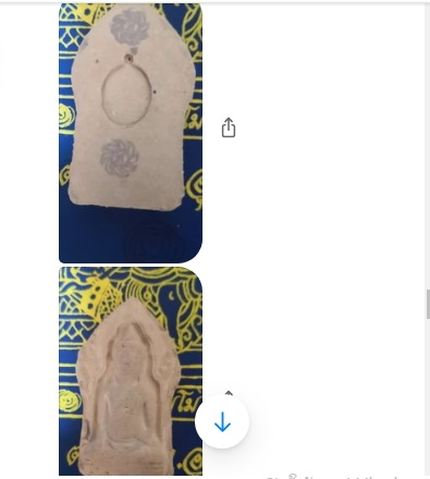 T1.jpg